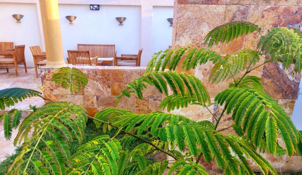 Helios Hotel Sulina Ngoại thất bức ảnh